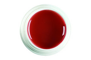 GF-41-M Sahara Brown